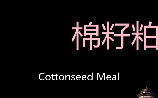 棉籽粕 Chinese Pronunciation Cottonseed meal哔哩哔哩bilibili