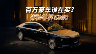 国产百万豪车谁在买？我们就定了一辆尊界S800