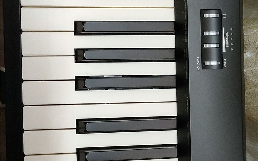 roland fp-10 单琴头 u架