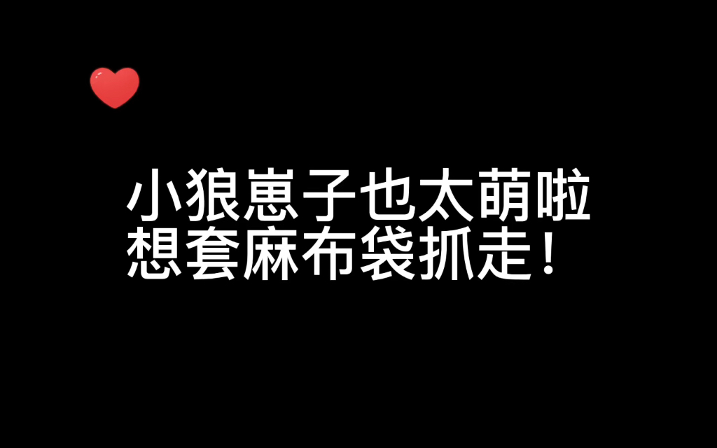 广播剧《逢狼时刻》小小狼真的太可爱太可爱啦!萌化了老阿姨的心哔哩哔哩bilibili