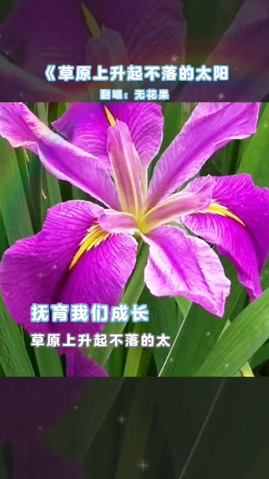 上热门愿晨起的微笑带来了幸福与快乐哔哩哔哩bilibili