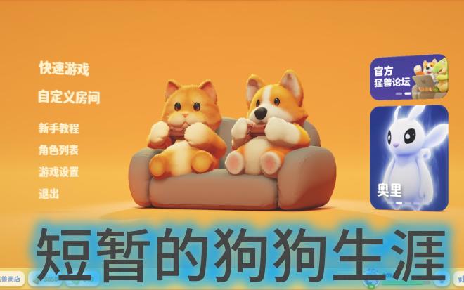 【猛兽派对/动物派对/party animals】冰上狗狗生涯还没开始就结束了