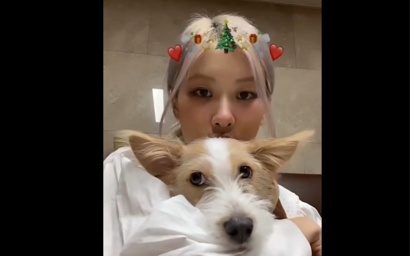 圣诞节rosé携手皇族hank直播我错了不该说hank背后辛酸