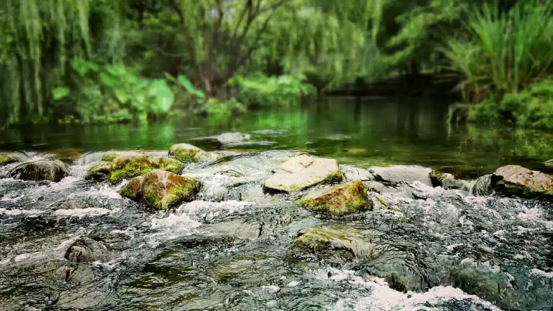 [图]【管乐作品】花溪河畔的垂柳 - 陈黔