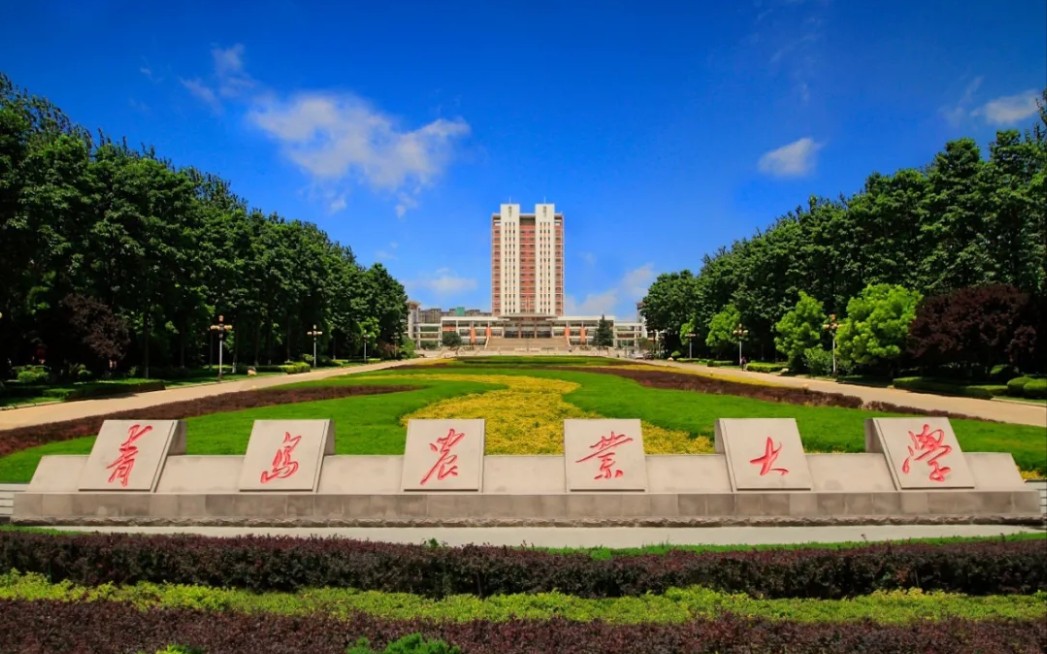 印象青农青岛农业大学vlog