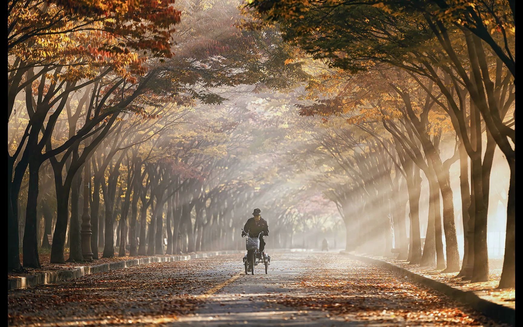 林间小路 晚霞映着夕阳 摄影图片