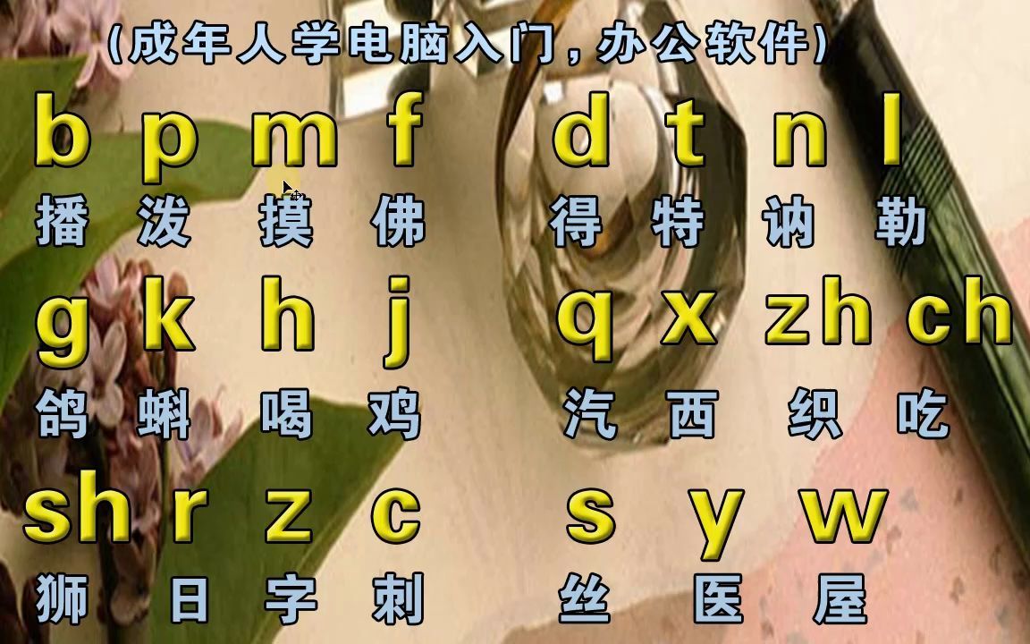 成人零基礎拼音打字入門教程學好拼音打字快