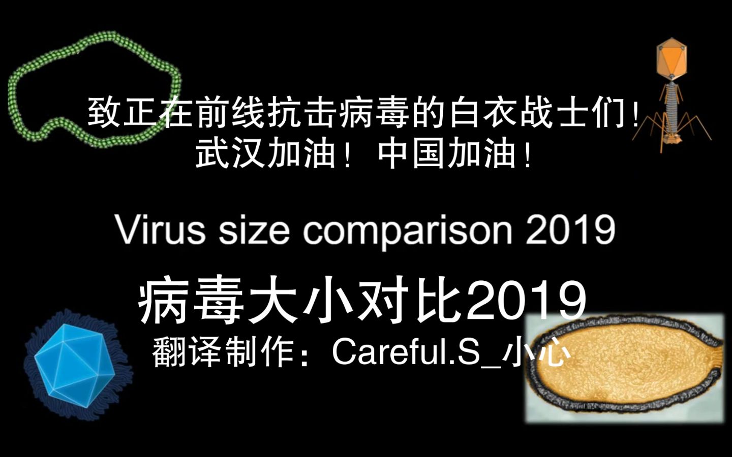 [图]2019病毒大小对比（中文字幕），致所有支持抗击病毒斗争的正义之士们！