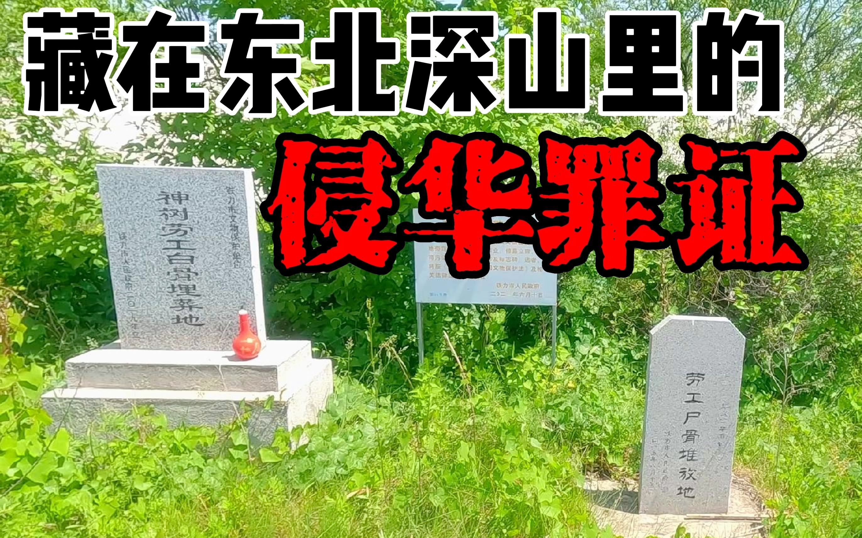 在小兴安岭里,除了美丽的风景还有那些不能被忘记的历史!哔哩哔哩bilibili