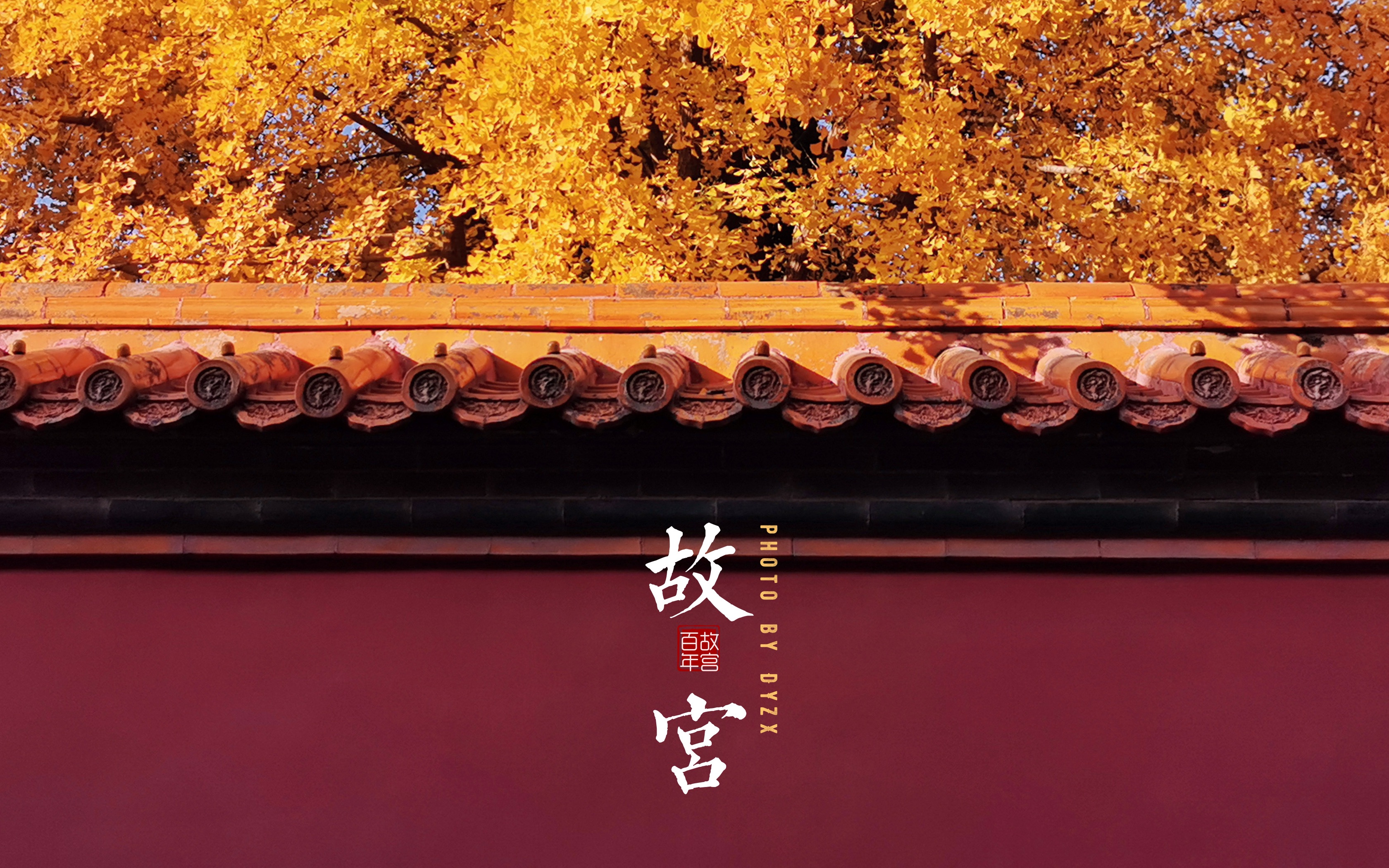 vlog秋天你要来一次北平故宫600年大展故宫盖章银杏