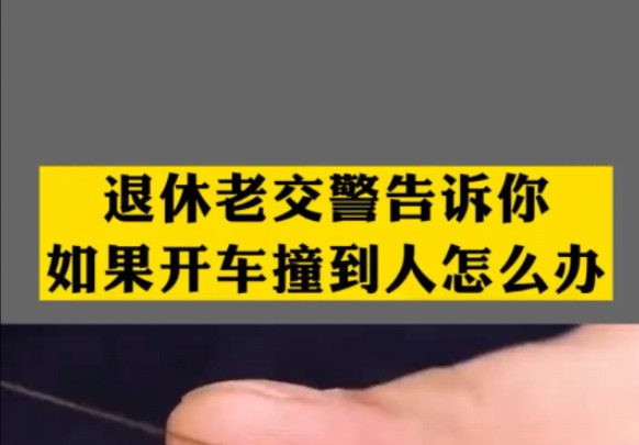 退休老交警告诉你,如果开车撞到人怎么办?哔哩哔哩bilibili