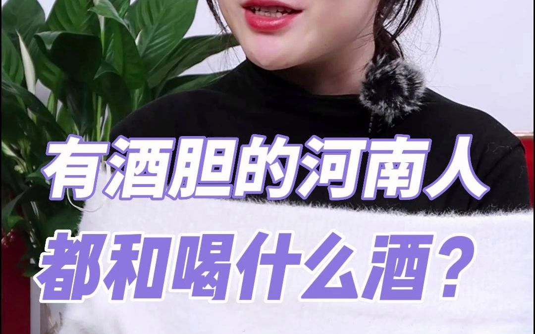 有酒胆的河南人都和喝什么酒?哔哩哔哩bilibili