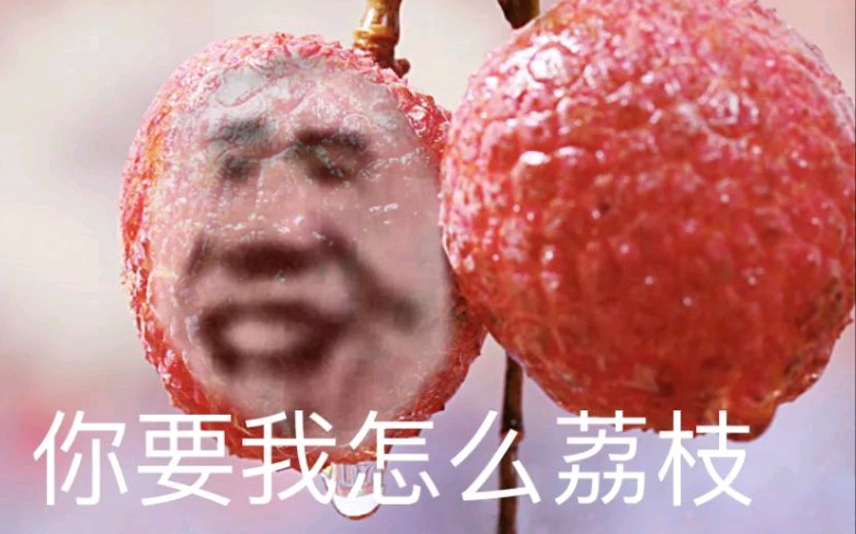 黑子必看,《只因你太美》各速度盘点