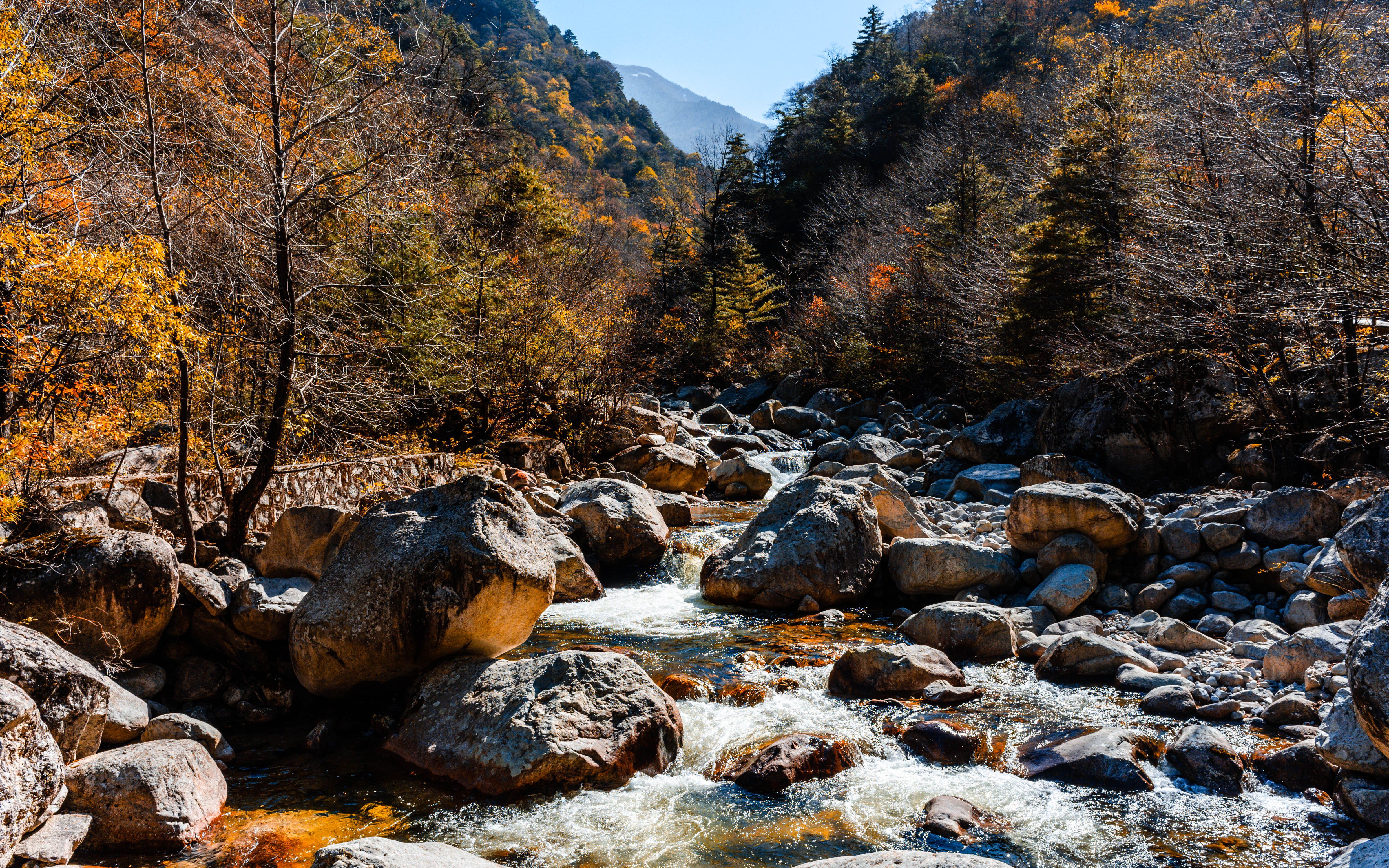 秦岭深处的八大美景图片