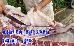 Download Video: 猪板油和肥肉，都能拿来熬猪油，哪种猪油更好吃、更营养呢？