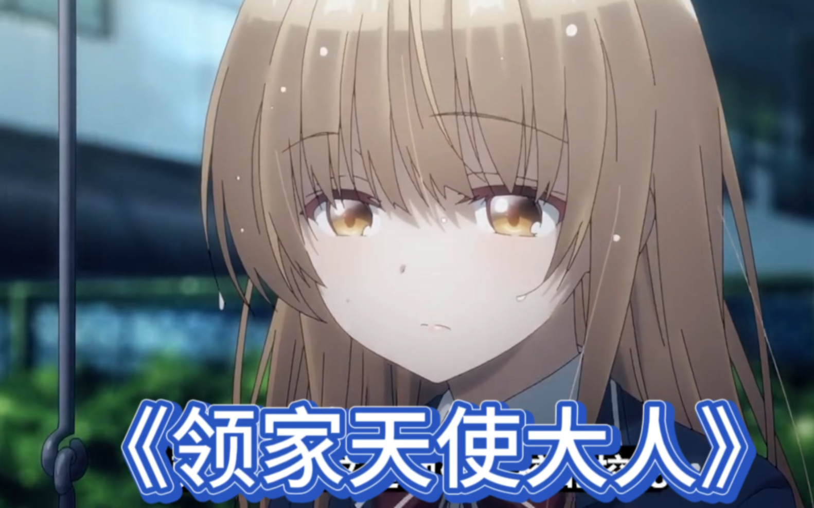 家大人 B站