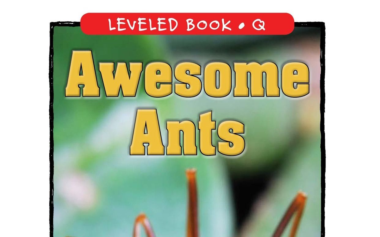 [图]06.Awesome Ants