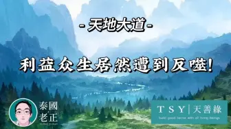 利益众生居然遭到反噬｜泰国老郑｜天善缘