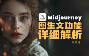 Download Video: 不用找咒语了！Midjourney图生文功能特征解析，玩转Describe命令，快速搞定AI绘画