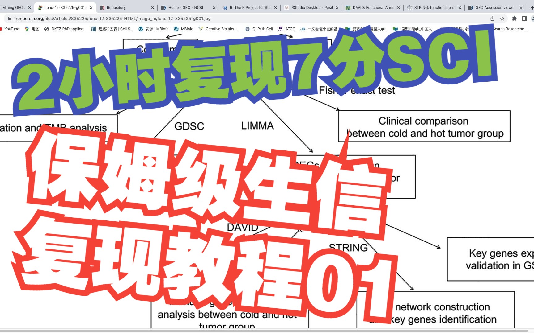 【EP01  免疫微环境SCIflowchart梳理、环境安装】 TCGA | GEO | 生信 | R | 医学生 | 医生 | 毕业 | SCI |哔哩哔哩bilibili