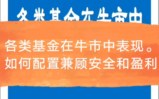 各类基金在牛市中的表现如何?如何配置兼顾安全和盈利?哔哩哔哩bilibili