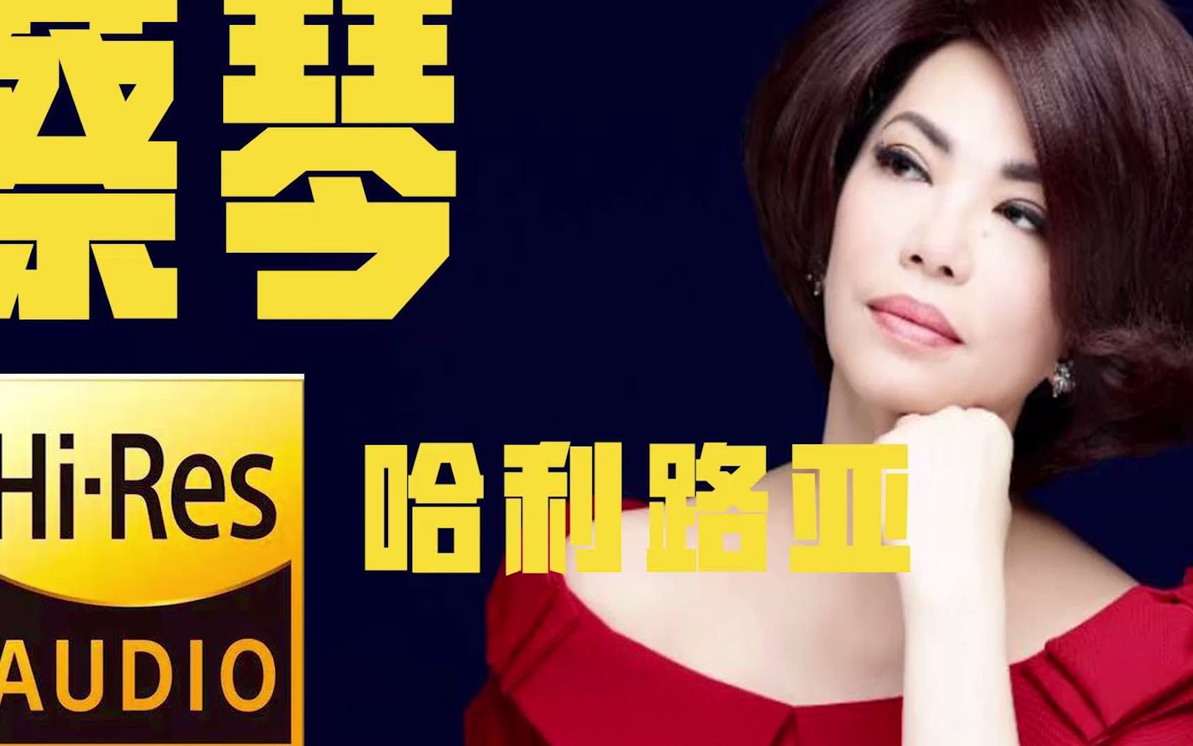 【无损音质】蔡琴,哈利路亚专辑,dsd256,试音碟 送flac格式音乐