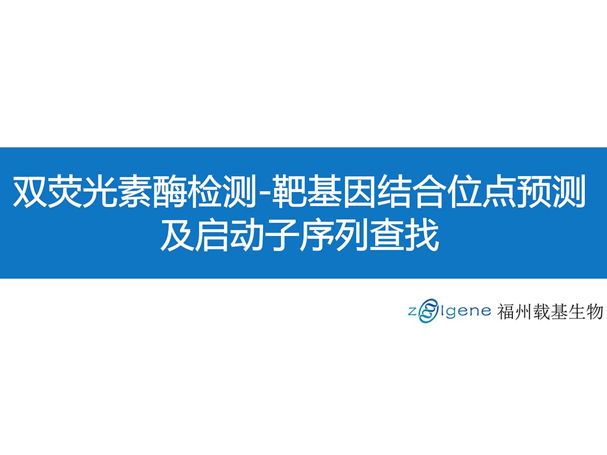 双荧光素酶检测靶基因结合位点预测(自动&手动),及启动子序列查找,详细讲解哔哩哔哩bilibili