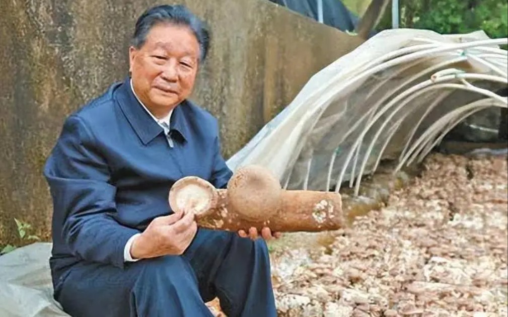 中国人物-林占熺【中英双语】