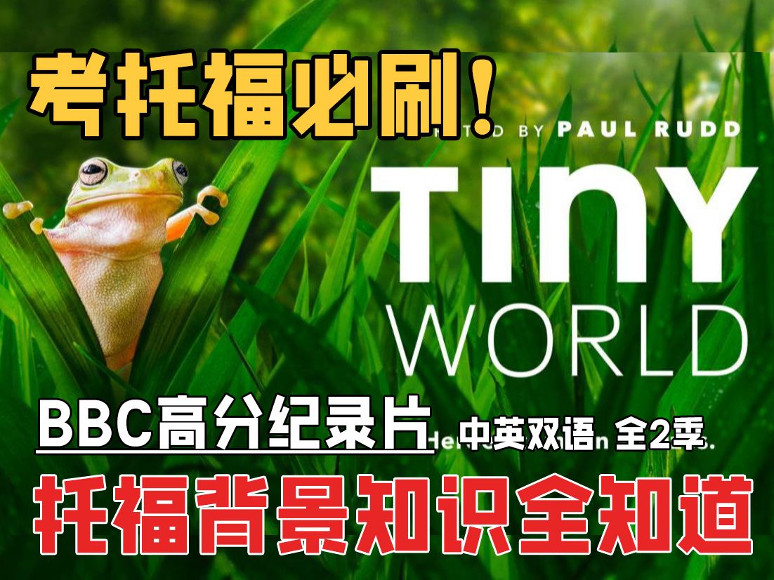 【豆瓣评分9.6】《Tiny World|小小世界》纪录片(中英双语)第一季05.Woodland.林地| 托福背景知识听力阅读|考托福必看!哔哩哔哩bilibili