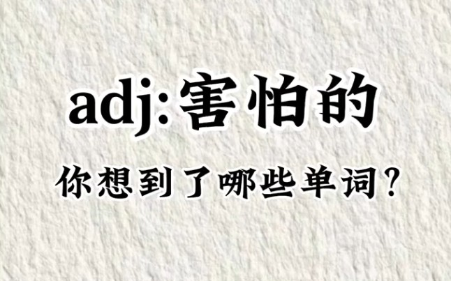 adj:害怕的,你想到了哪些单词?哔哩哔哩bilibili