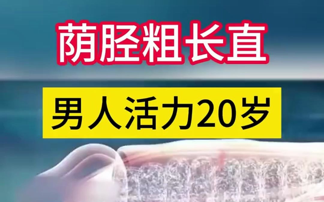 荫胫粗长直,男人活力20岁哔哩哔哩bilibili