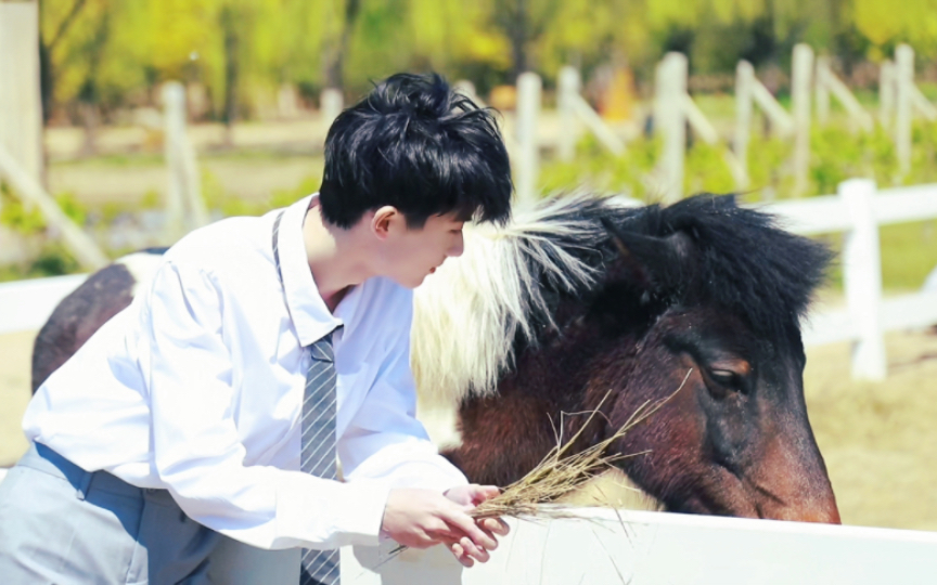 【马嘉祺】少年·阳光·草地