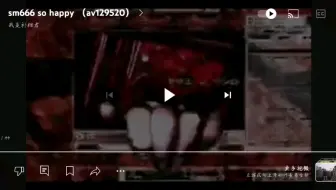 【补档】sm666 so happy