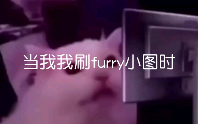 [图]当我刷furry图片时（图片来自外网）