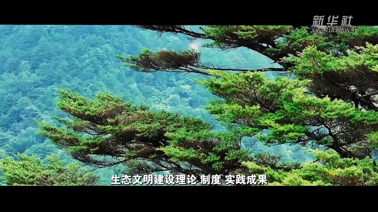 60秒读懂《中华人民共和国生态环境法典》来源：新华社