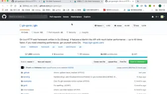 最新Golang/Gin框架实战全套