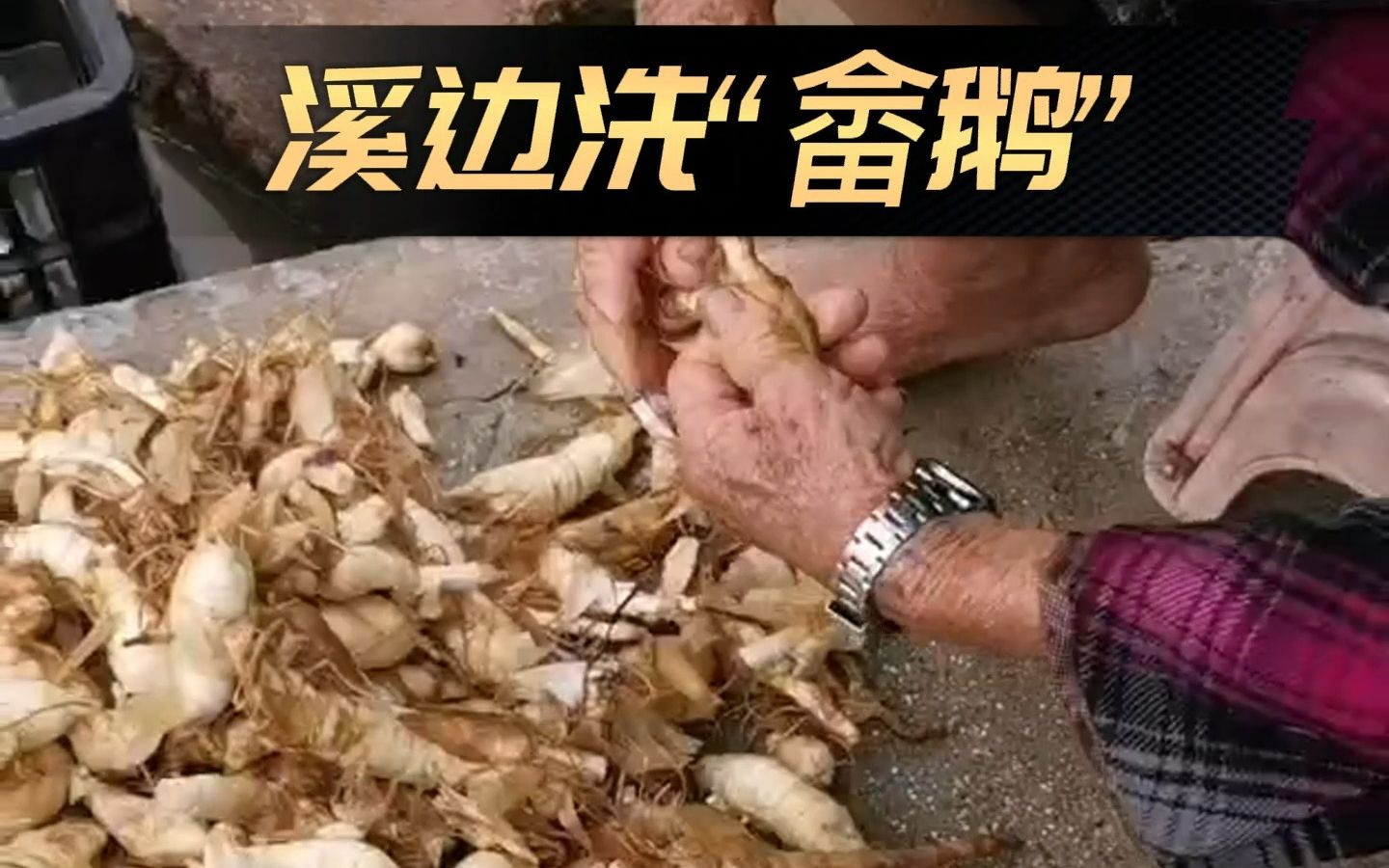 【畲鹅粉】年复一年,如期而至,老妈完成一场朴素的蜕变