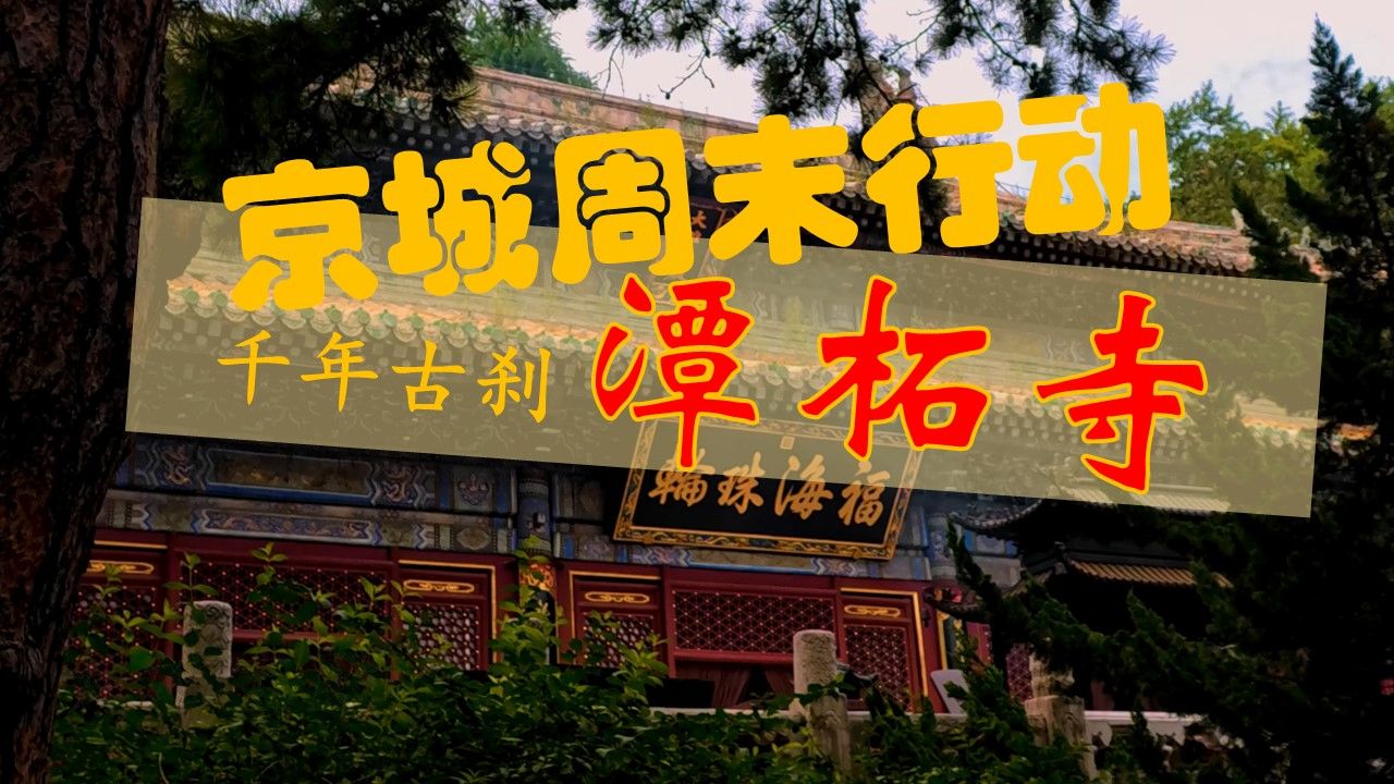 【4K】京西 潭柘寺 | 深度带玩及攻略【京城周末行动】哔哩哔哩bilibili