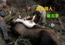 Download Video: 一口气看完，肉食猎人第五季，随着史蒂文出入荒野中