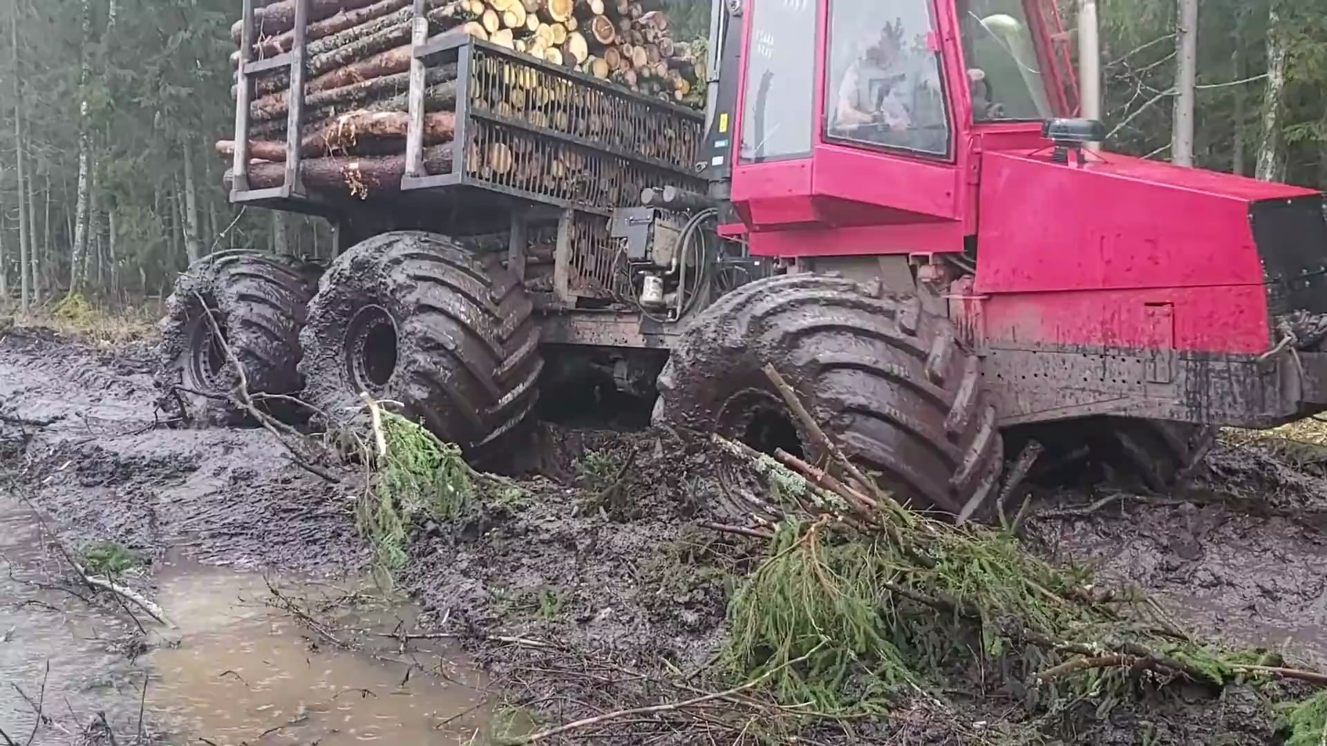 [图]运木车在潮湿泥泞的森林小路艰难前行