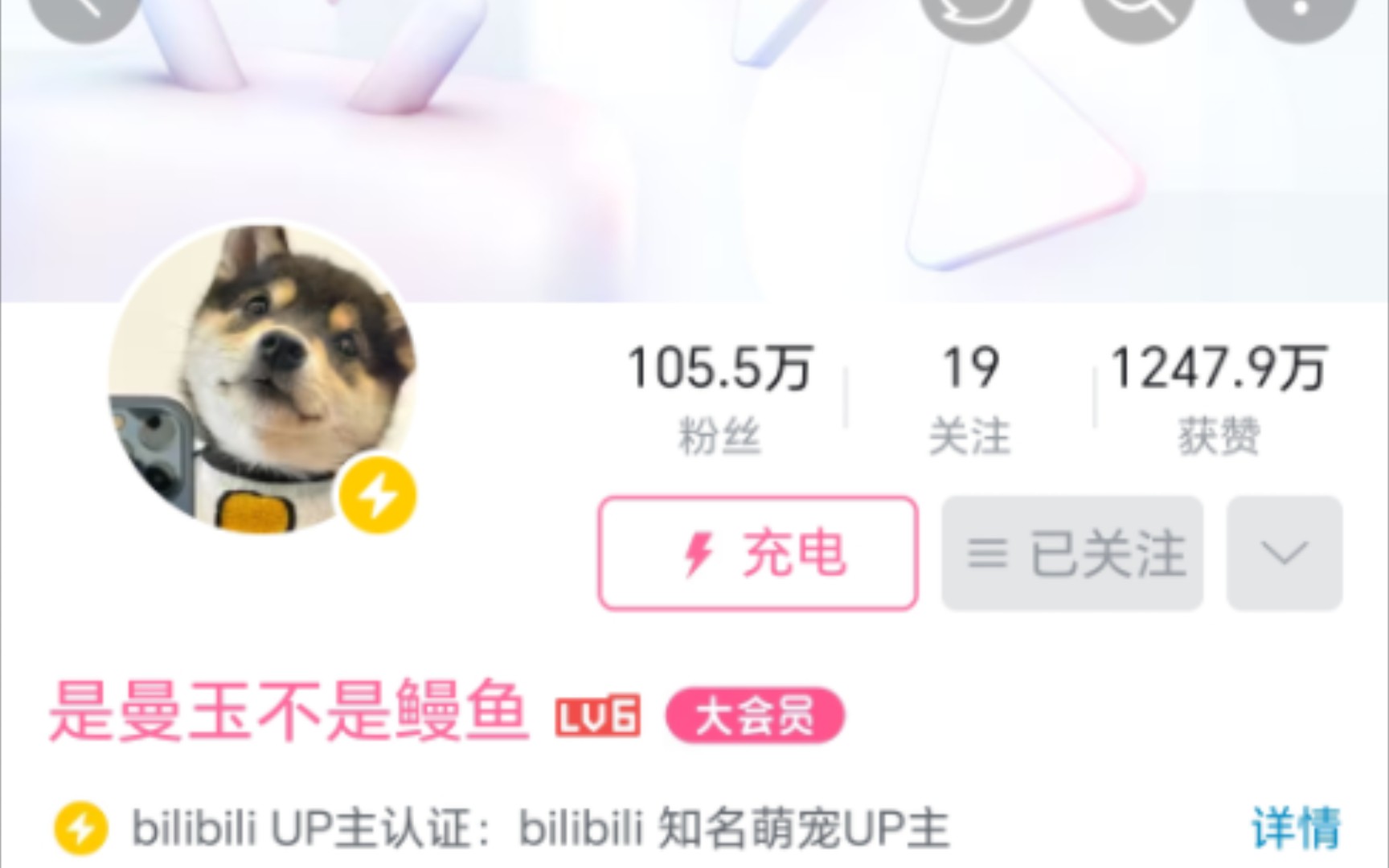 百大究竟是什么意思呢?哔哩哔哩bilibili