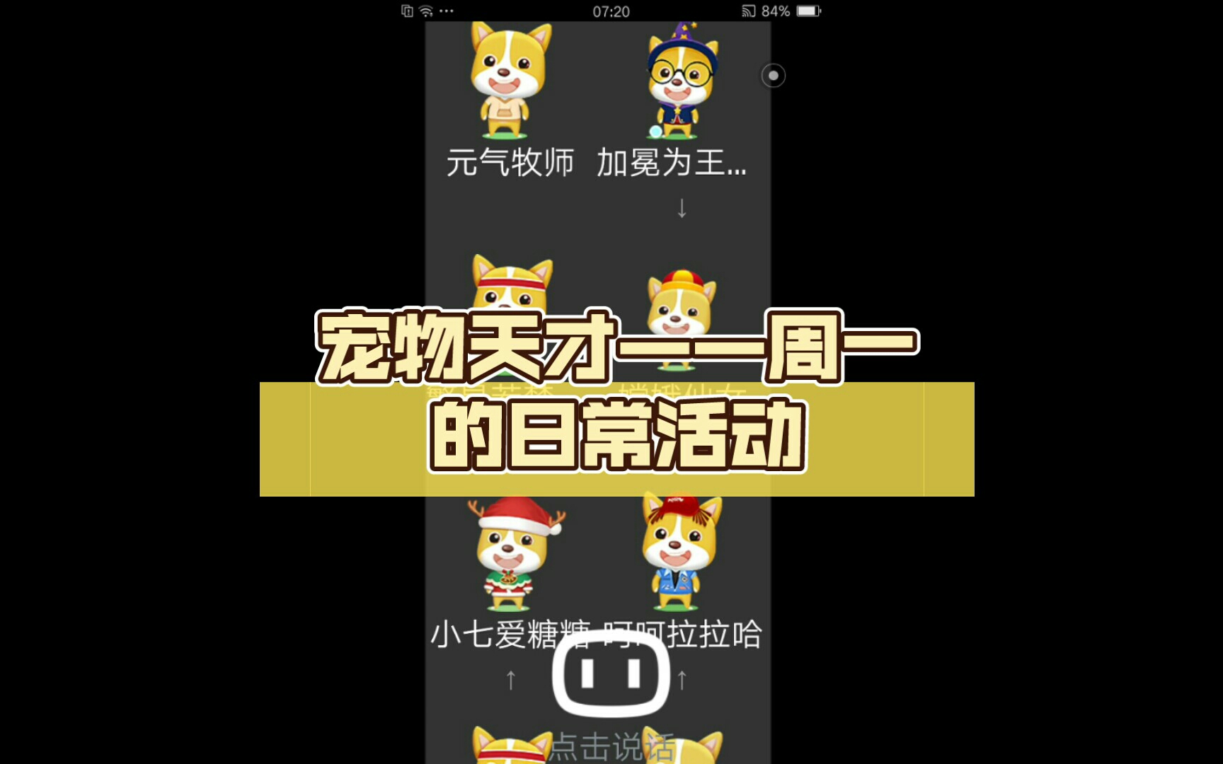 宠物天才——周一的日常活动