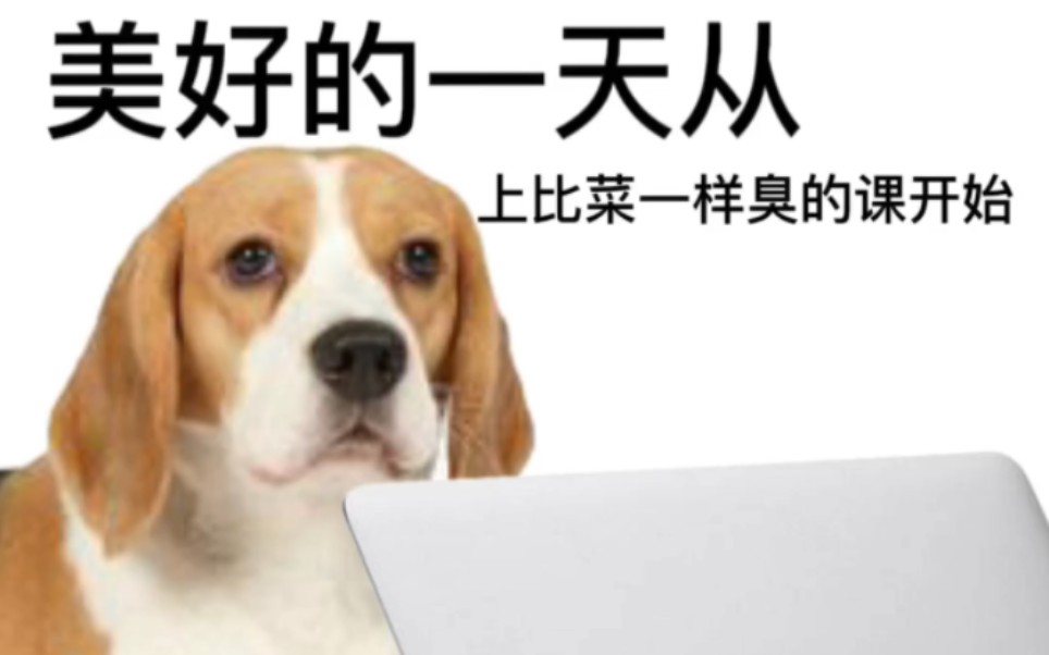 最爱、比格犬表情包(三)哔哩哔哩bilibili