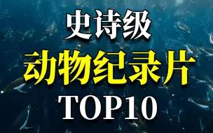 Download Video: 看得你欲罢不能的动物纪录片TOP10