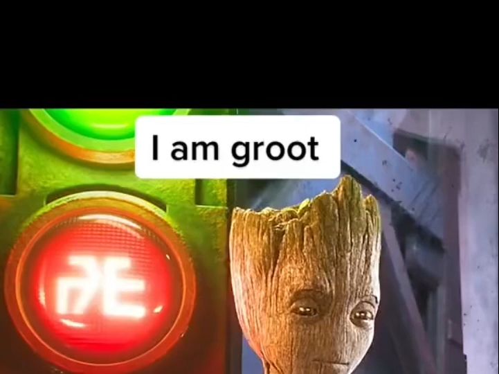 groot 脏话图片