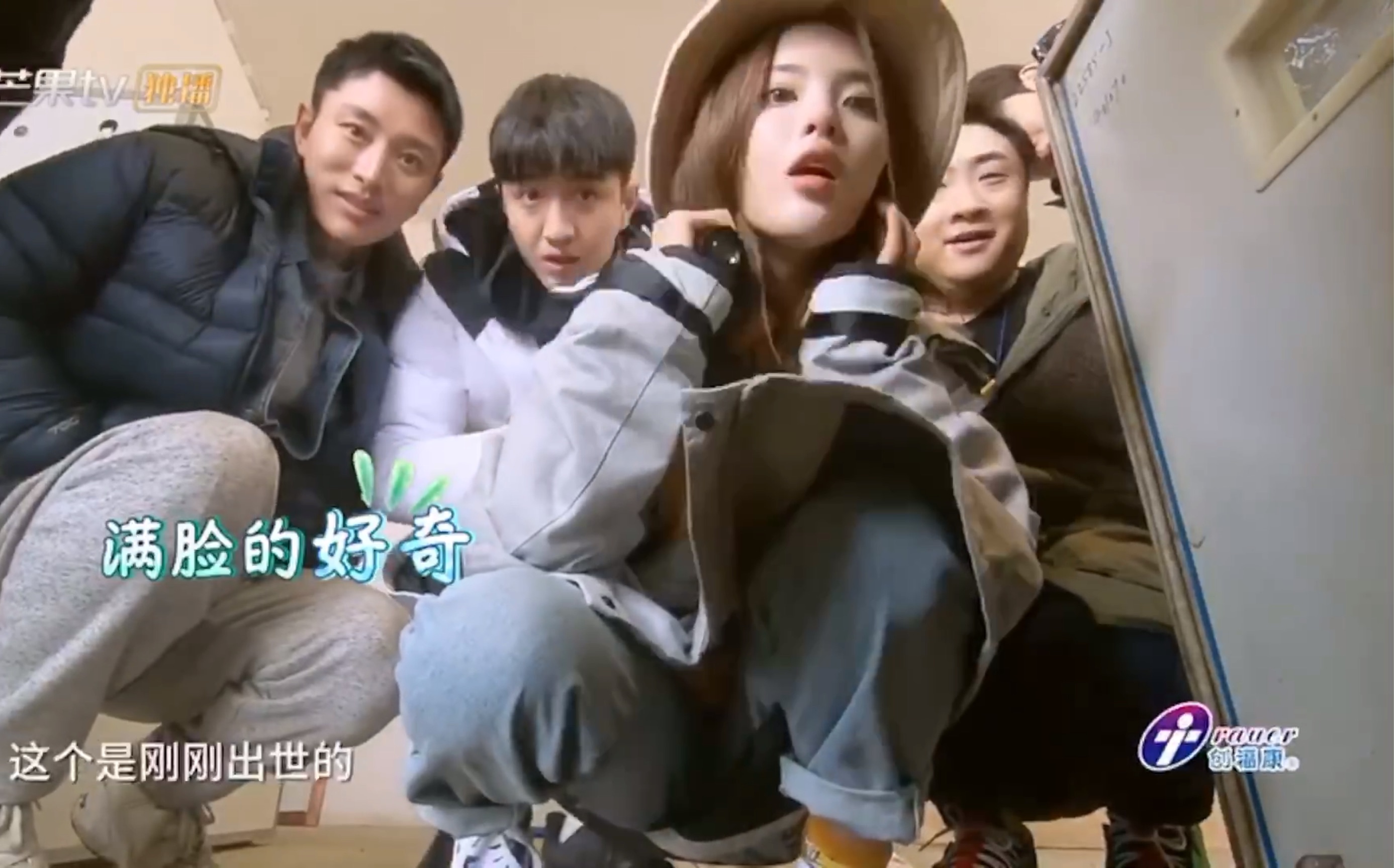 【杨超越】细心呵护刚出壳小鸡,金瀚掉水里被说水货!