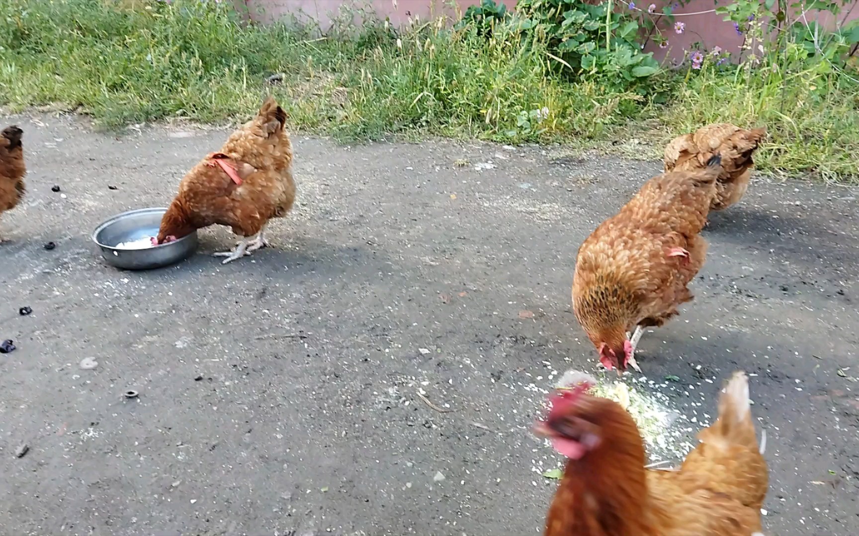 [图]饿鬼道か