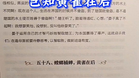 螳螂捕蝉 岂知黄雀在后#国学#国学经典 #传统文化 #增广贤文 #增广贤文100句经典哔哩哔哩bilibili