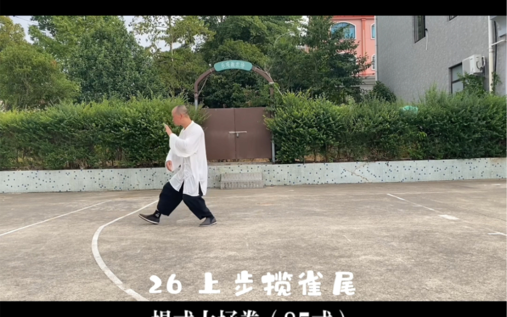 杨式太极拳(85式整套演练)哔哩哔哩bilibili