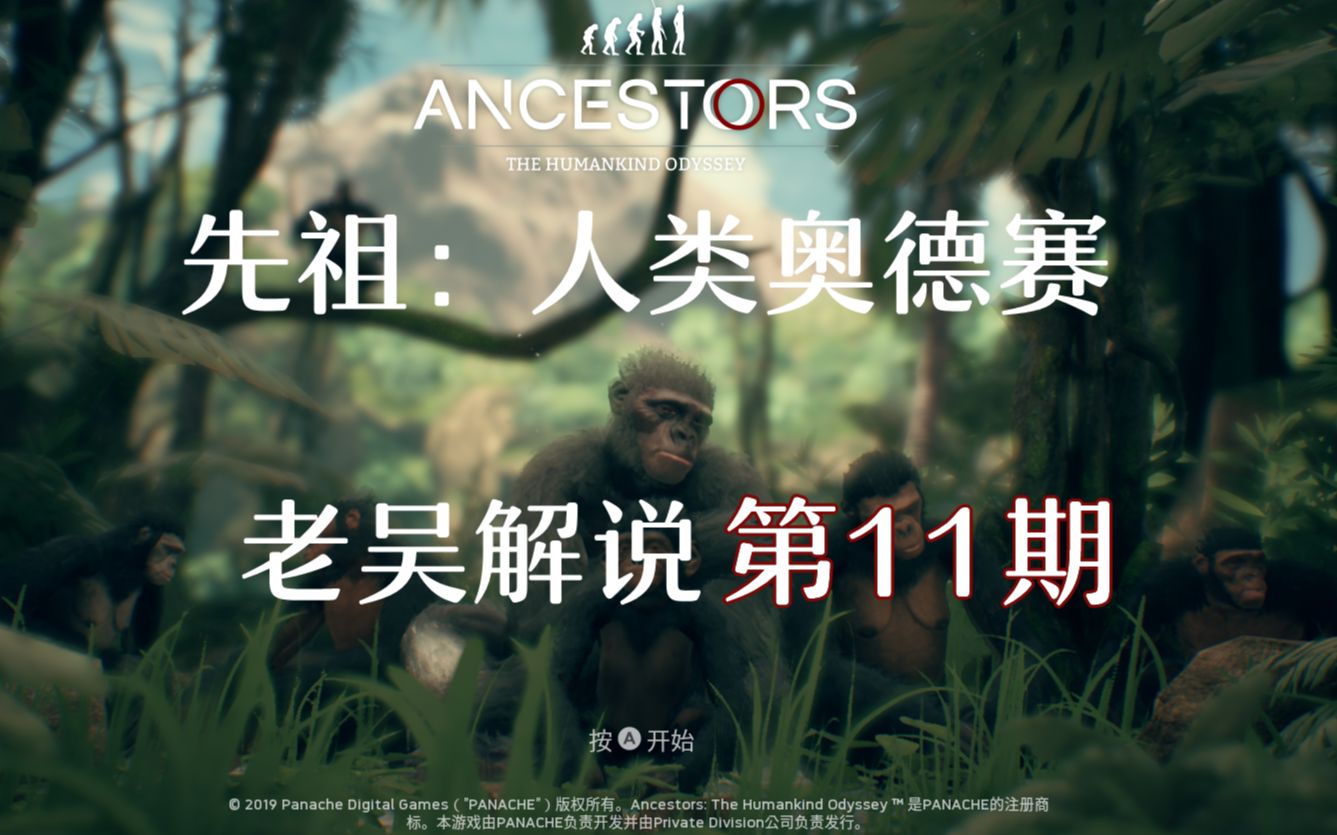 老吴解说先祖人类奥德赛第11期寻找父亲树